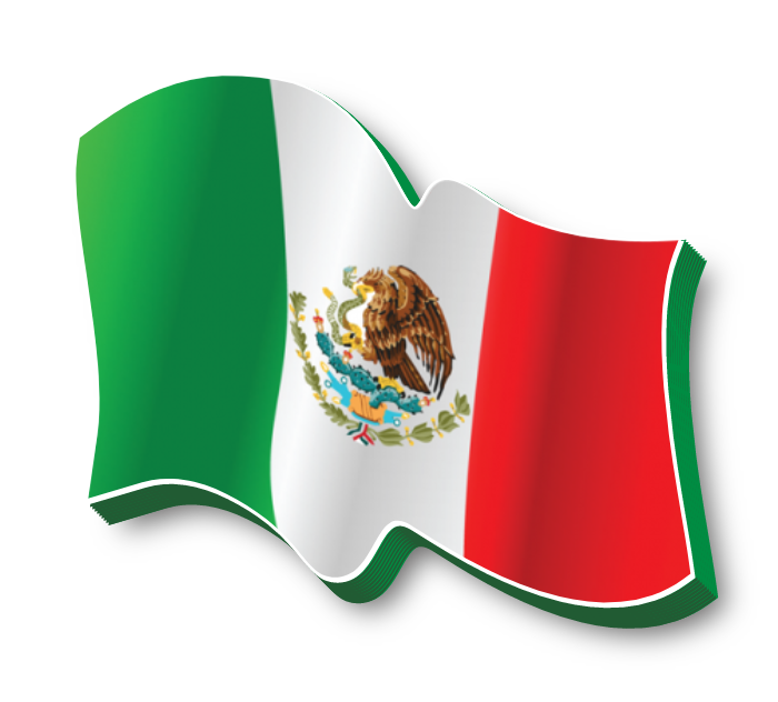 Mexican Flag Self Contained Sign lit with LEDs