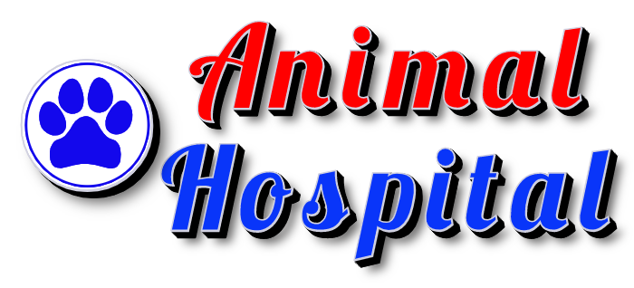 Animal Hospital Face Lit Letters with a Logo