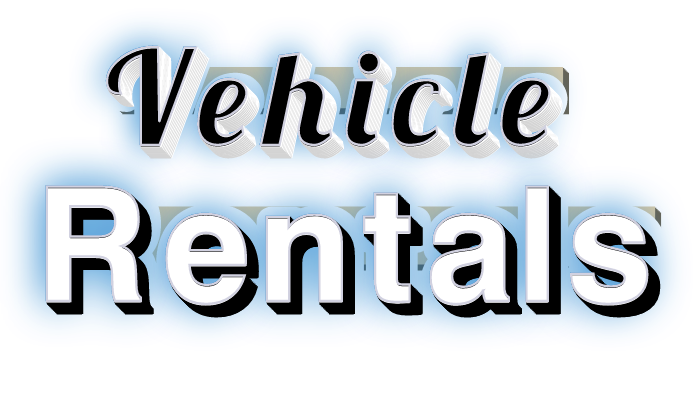 Vehicle Rentals Face and Halo Lit Channel Letters on Raceway