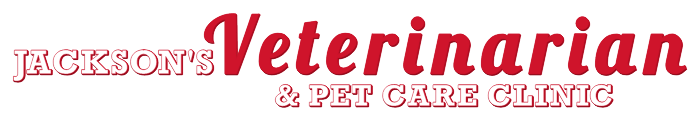 Jackson's Veterinarian & Pet Care Clinic Halo Lit Channel Letters