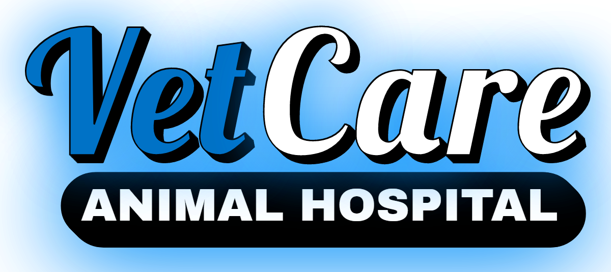 Vet Care Animal Hospital Face & Halo Lit Channel Letters