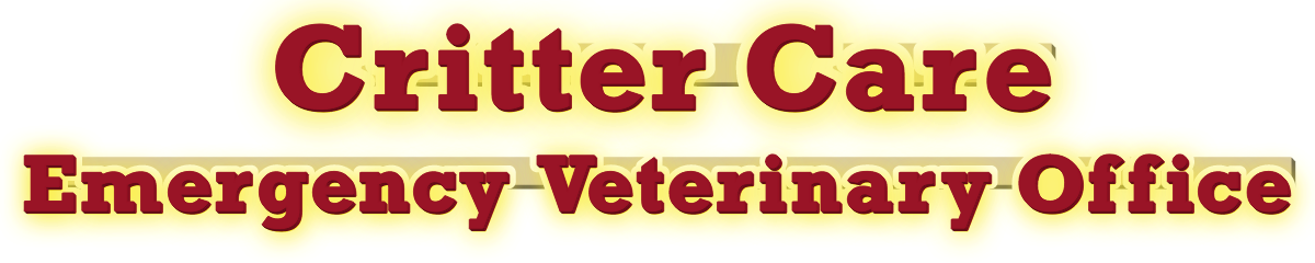 Critter Care Emergency Veterinary Office Halo Lit Channel Letters on Raceway