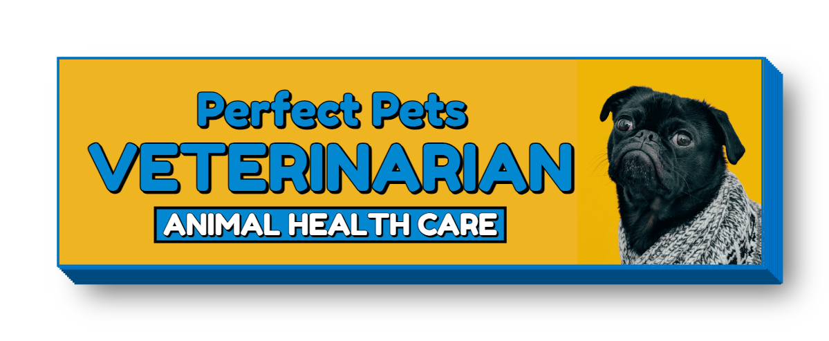 Perfect Pets Veterinarian Lit Decor Sign