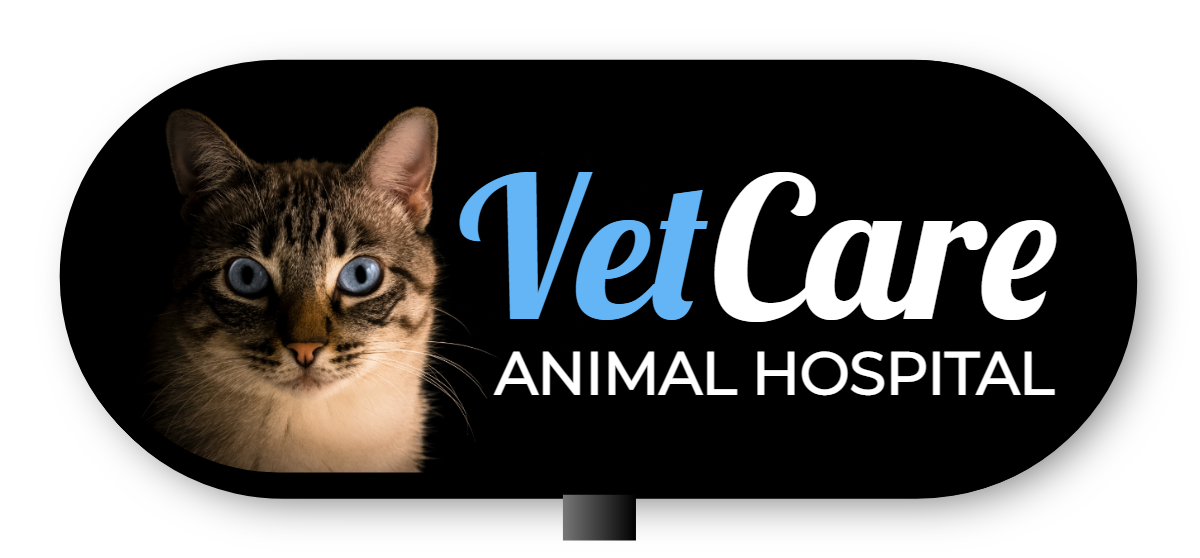 Vet Care Animal Hospital Double Faced Lit Shaped Cabinet Sign