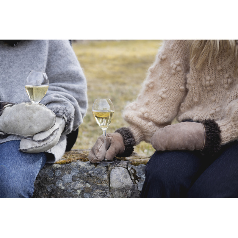 Saga champagneglass 2-pk.