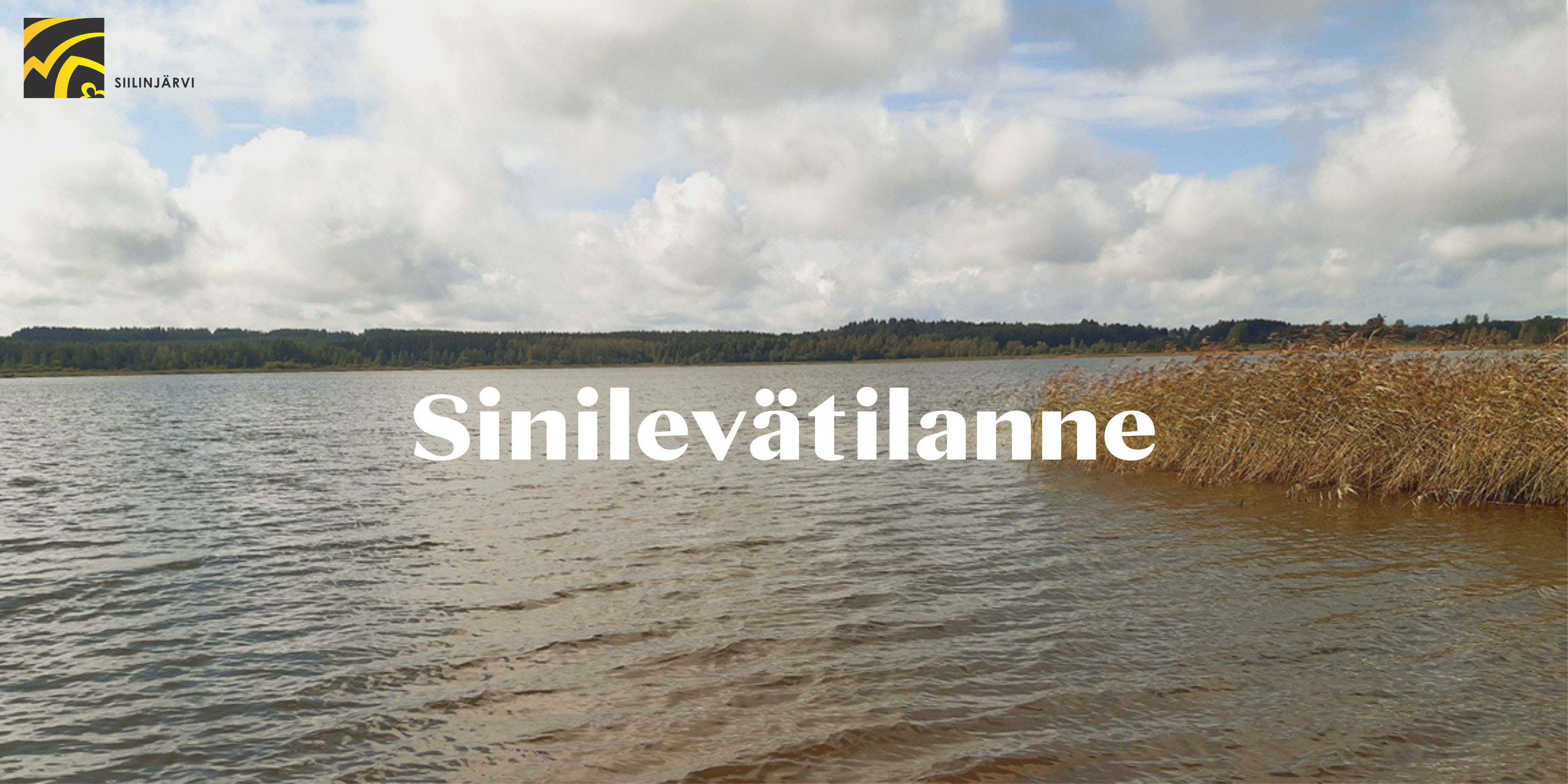 Kesän 2022 sinilevätilanteen seuranta | Siilinjärven kunta