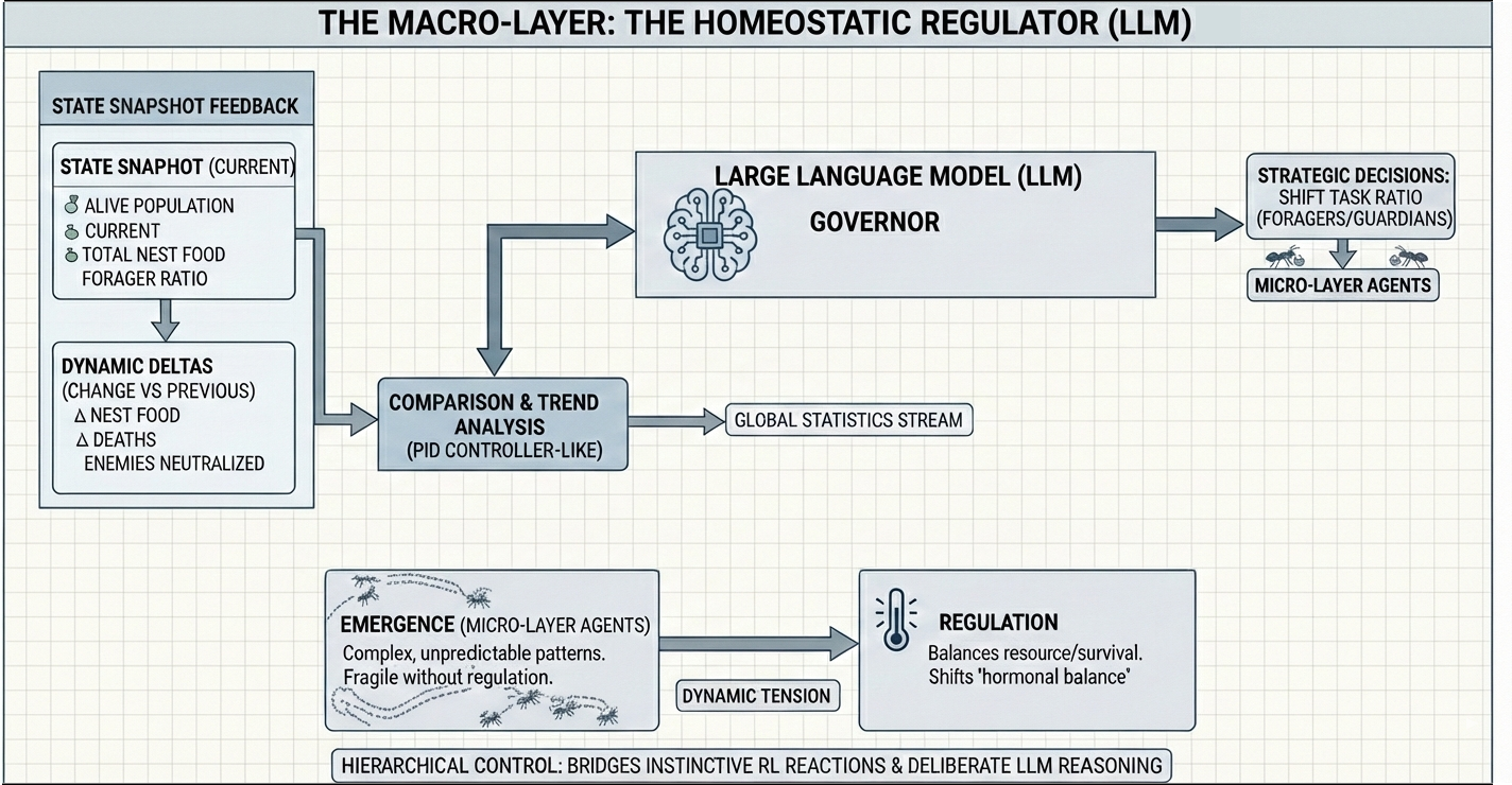 The Macro Layer Structure