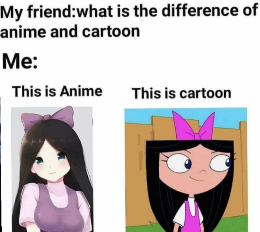 Anime vs Cartoons  rmemes