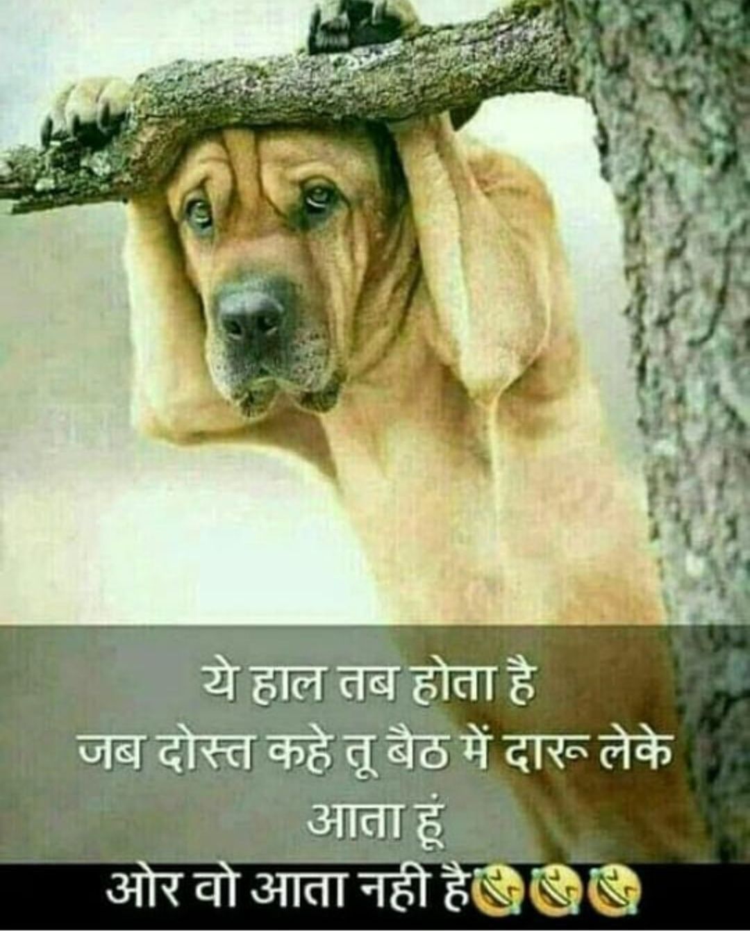 Your Profile - Memechat Your Profile - Memechat