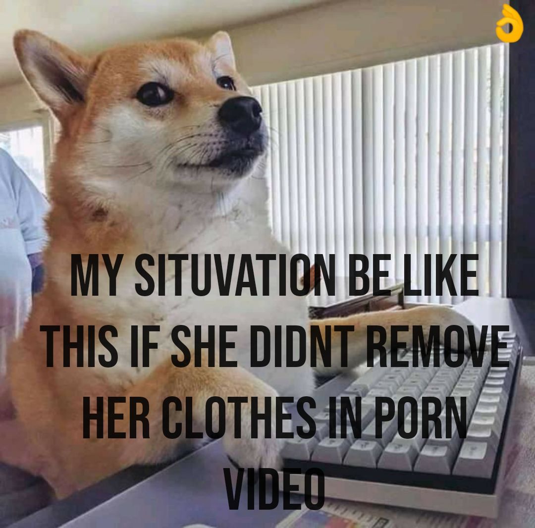 Doge Meme Porn - Share Memes, Make Memes, Make Money, Make Communities