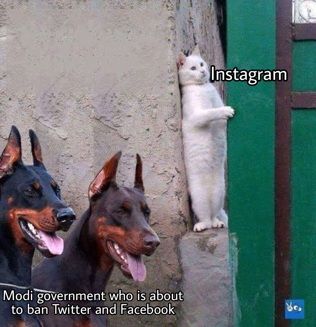 Share Memes, Make Memes, Make Money, Make Communities Share Memes, Make Memes, Make Money, Make Communities