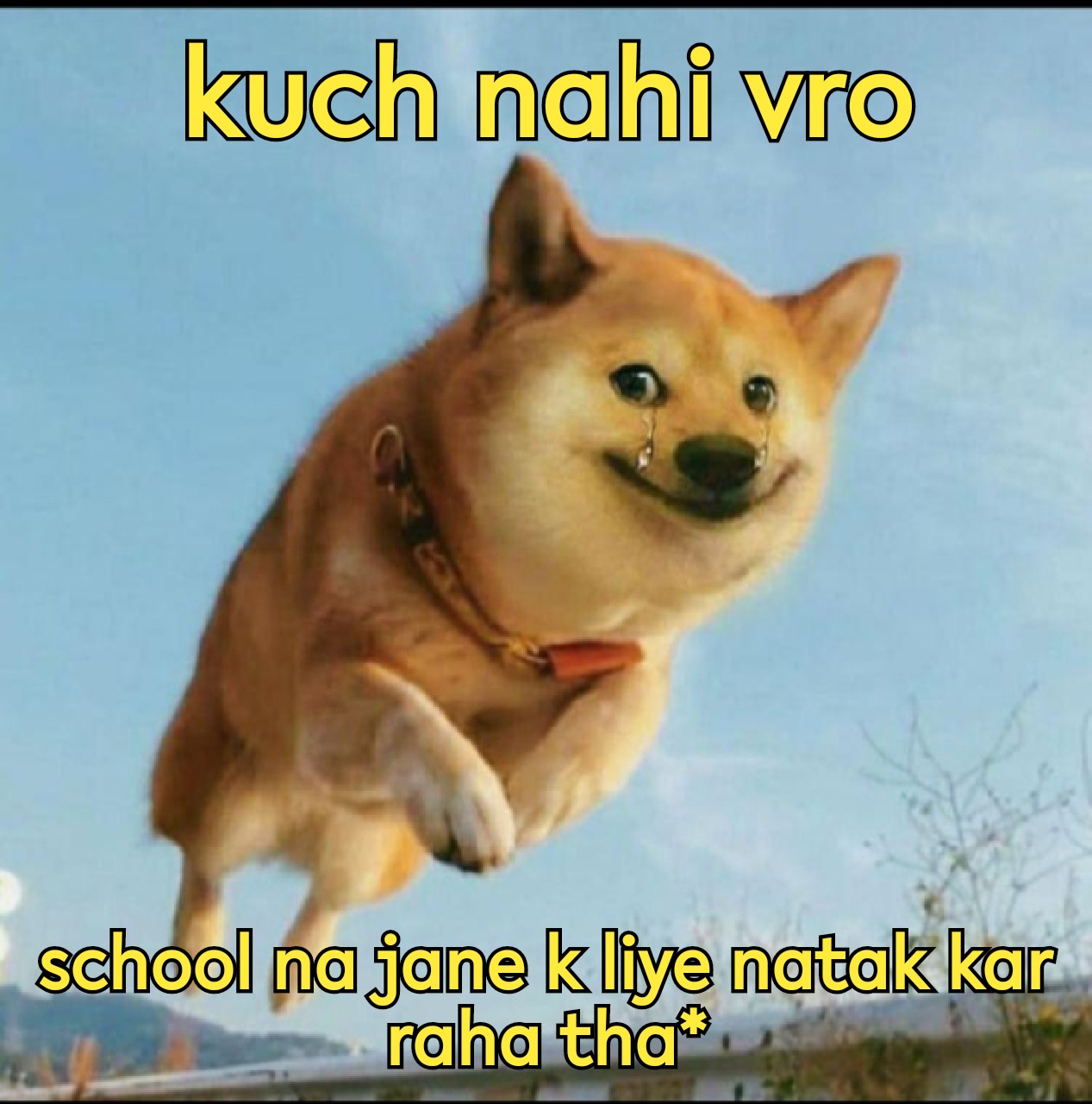 doge memes school