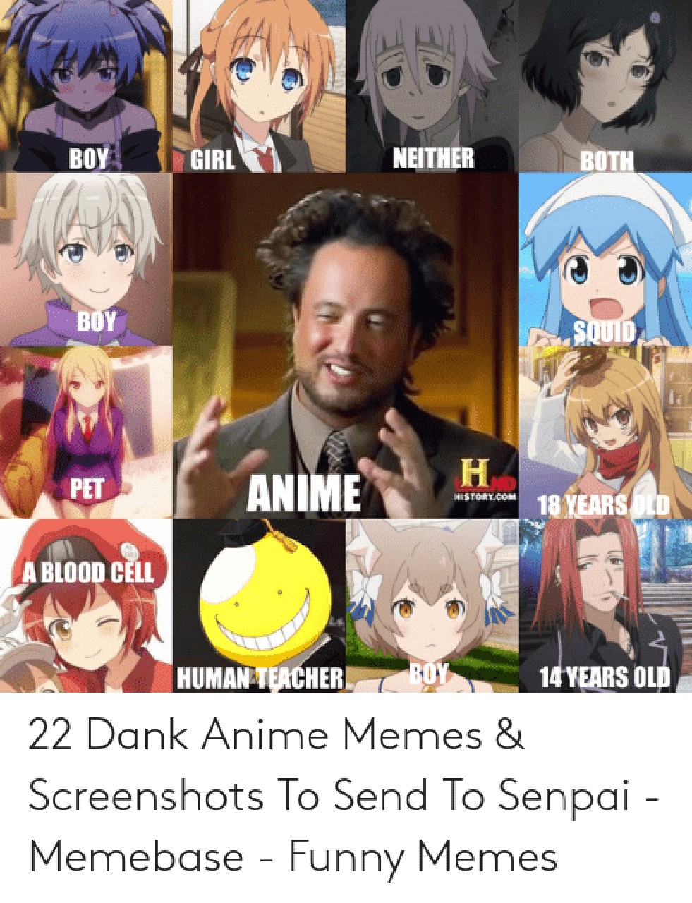 Why are anime fans so good at creating bad memes  rComedyCemetery