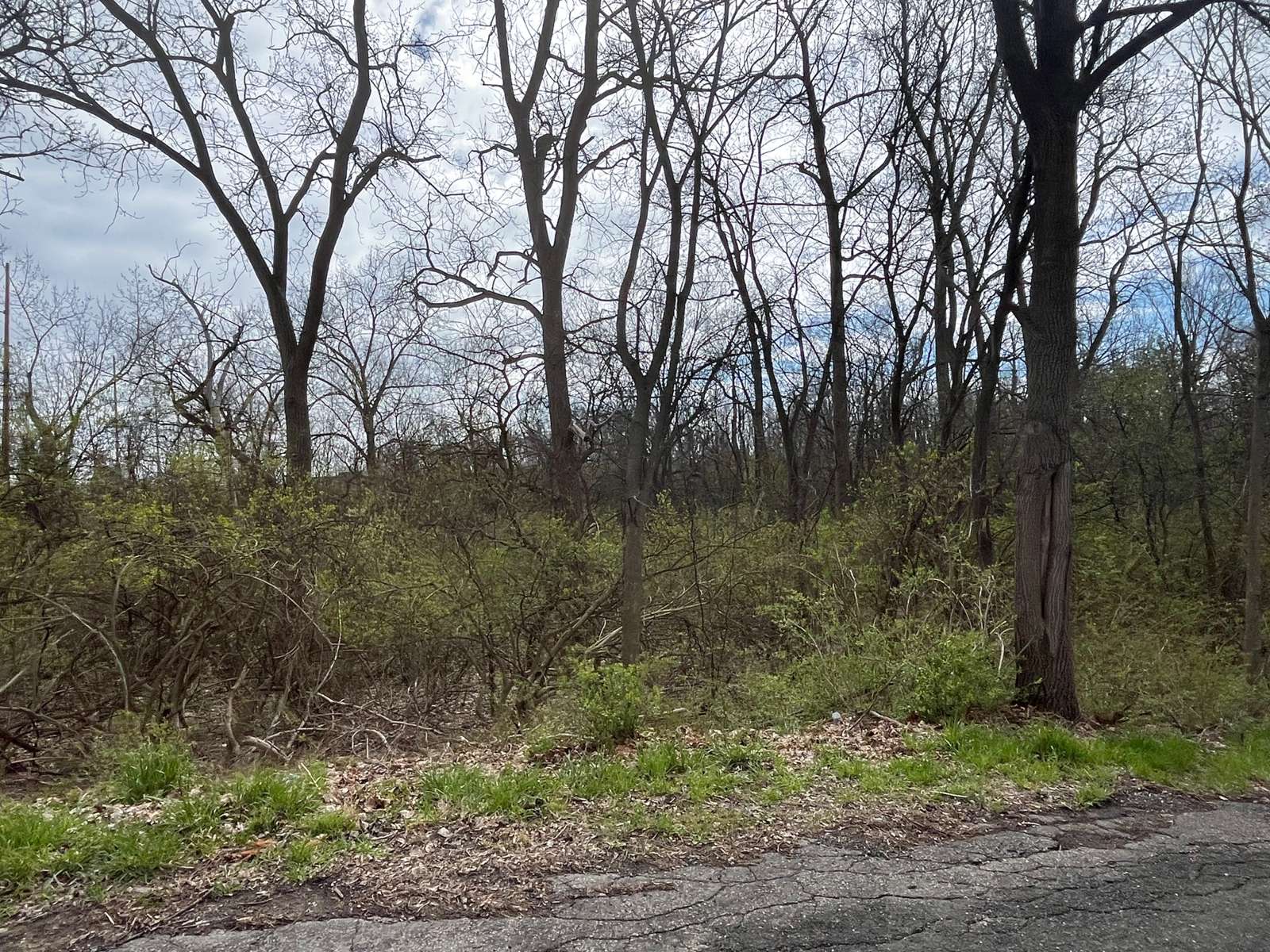 3541 Dorr St. photo 7