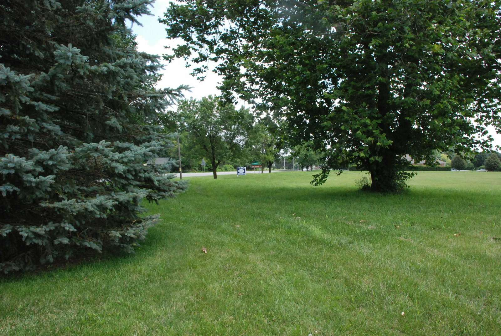 2, 4, 5, 6, 8 Turtle Creek Circle photo 5