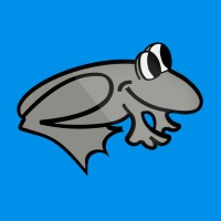 iFrog Marketing Solutions