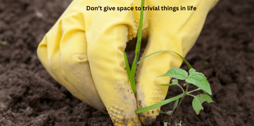 The Art of Focus in Modern Life