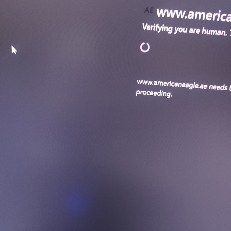 American Eagle AE coupon verification screenshot