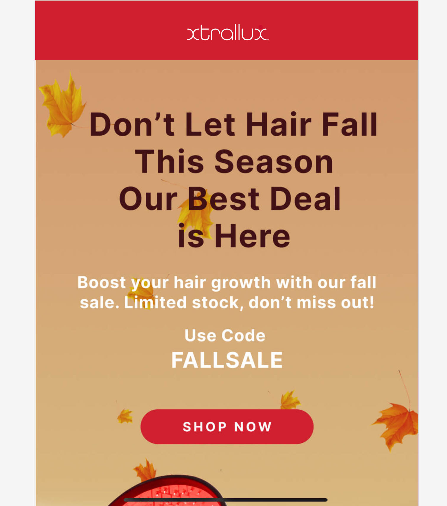FALLSALE coupon verification screenshot