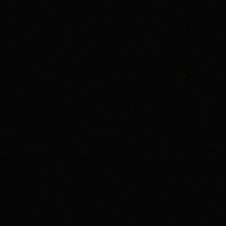 Prada promo code screenshot showing code GENIALS2025 applied at Prada checkout page. Uploaded by SimplyCodes community member Gslm25 on Mar 12, 2025