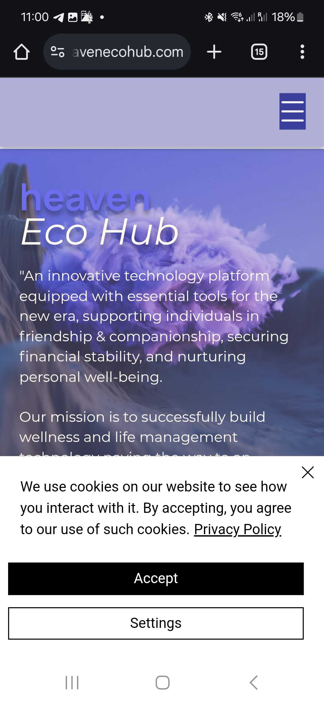 CLEVER coupon verification screenshot