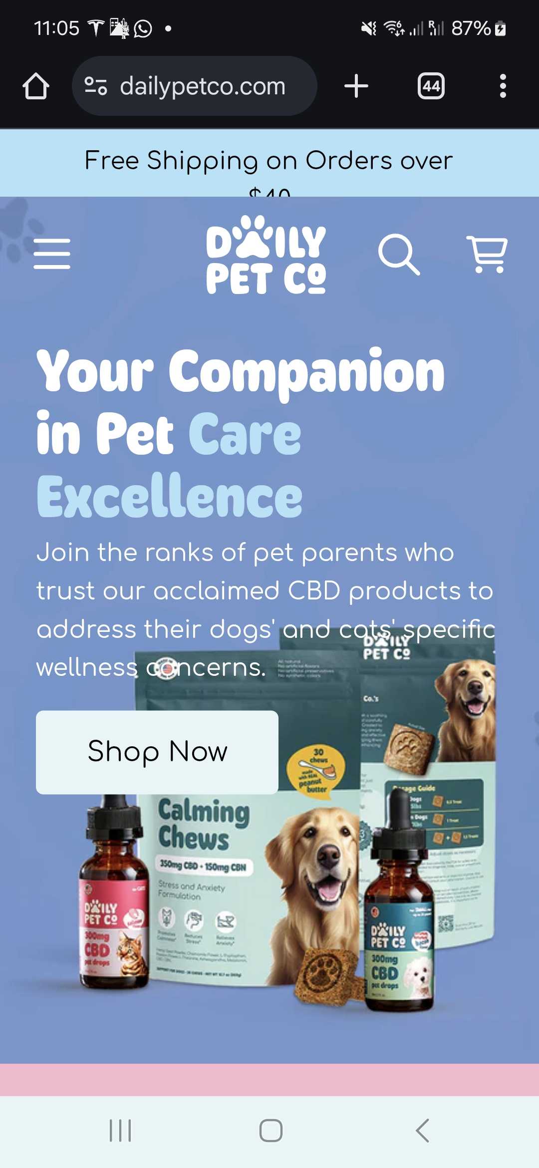 FLASHDEAL coupon verification screenshot