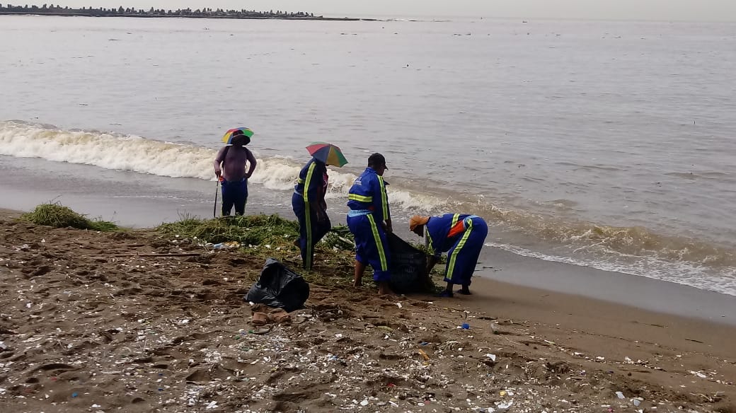 Brigadas de la Alcaldía DN intervienen playas para retirar basura