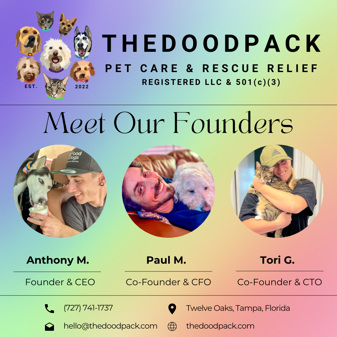 Welcome to TheDoodPack Rescue: Your Pets Home Away From Home