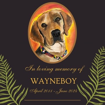 Anticipatory Grief and Processing the Loss of Wayneboy
