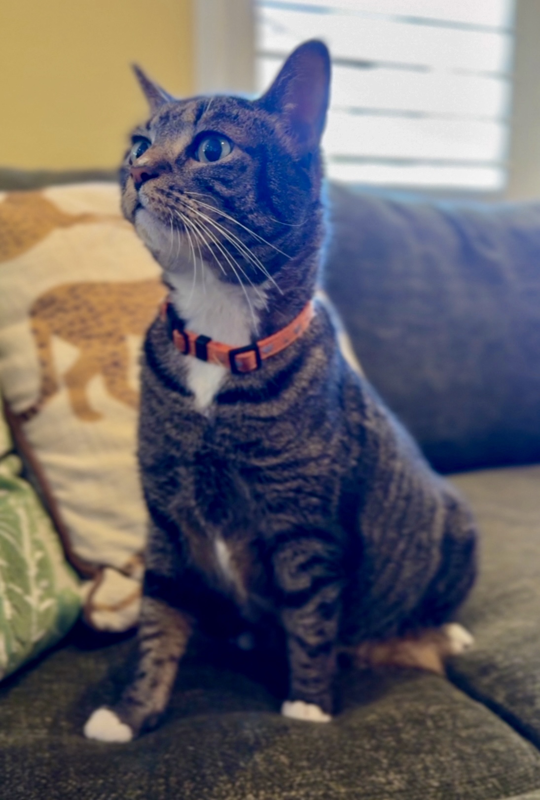 Katie