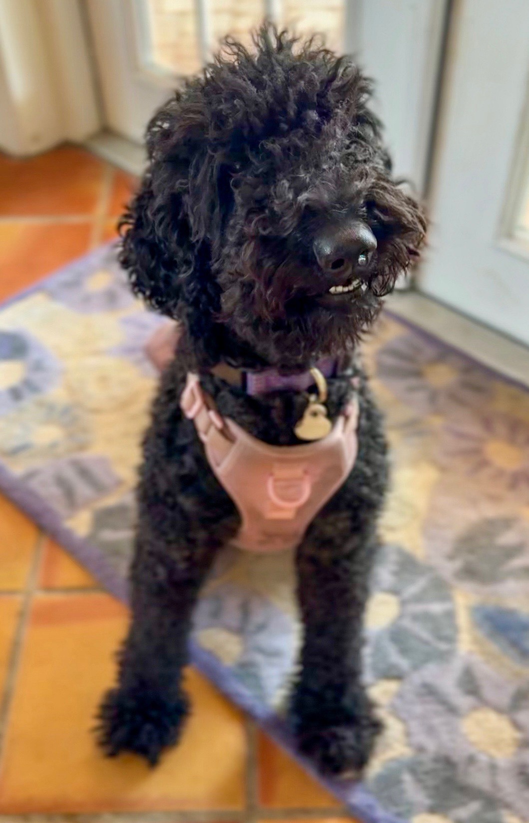 Penny