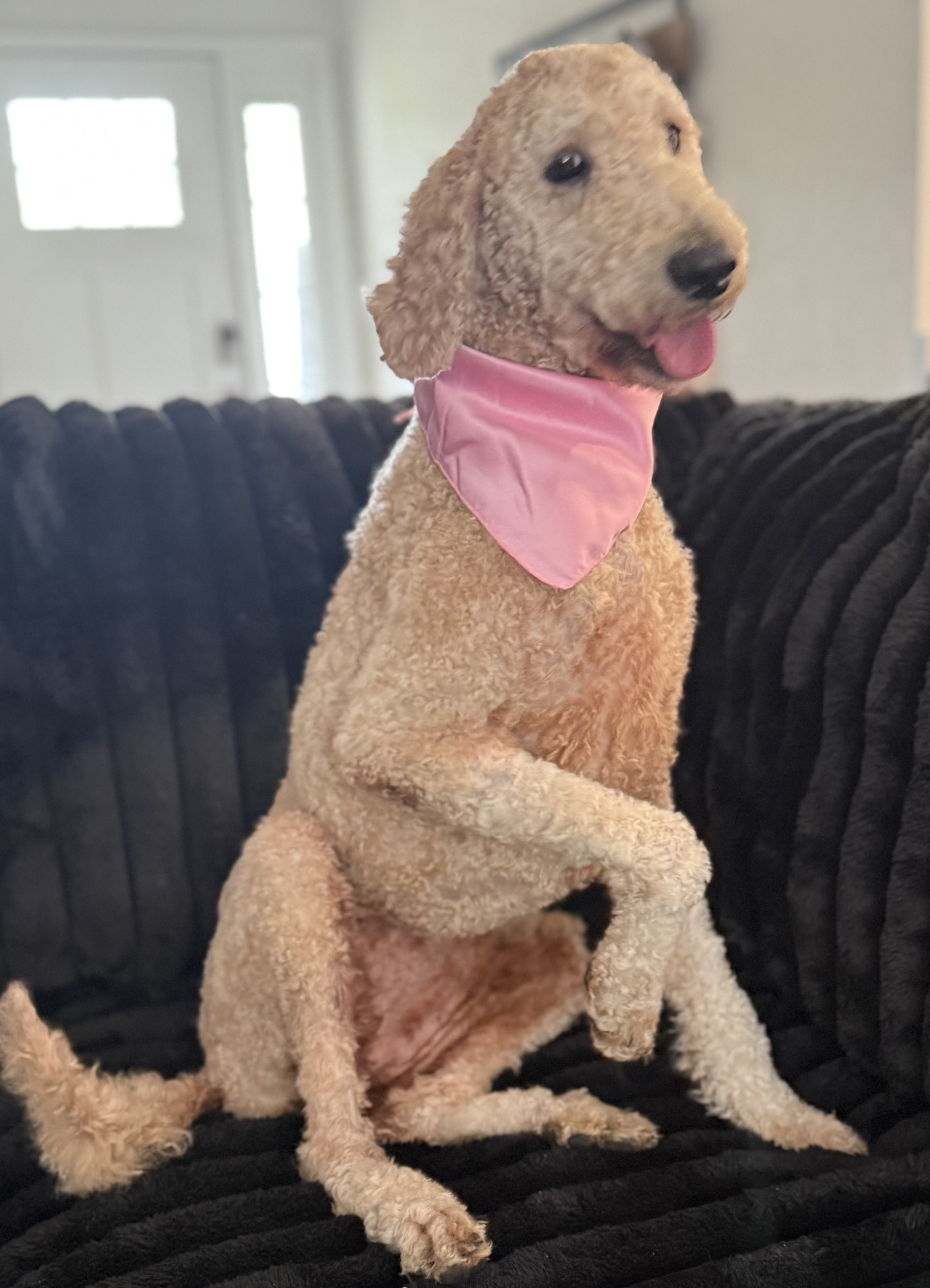 Winnie