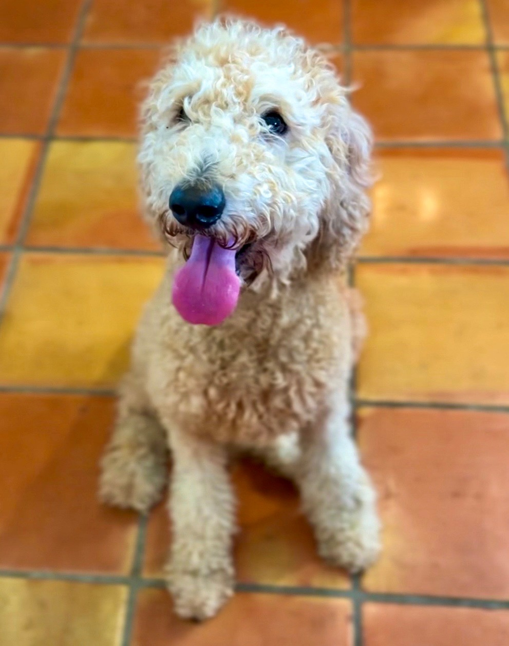 Winnie