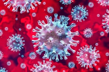 Coronavírus: PB tem um caso confirmado, 114 em investigação e 40 descartados - SINDESEP