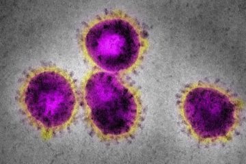 Paraíba registra três casos suspeitos de coronavírus; pacientes estão em isolamento - SINDESEP