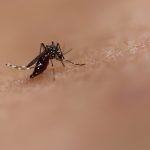 Paraíba registra mil casos de dengue em menos de um mês e situação preocupa autoridades - SINDESEP