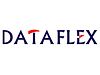 Data-Flex Technology logo