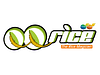 QQ Rice logo