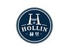 HOLLIN logo