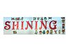 Shining Painting Art & Craft logo