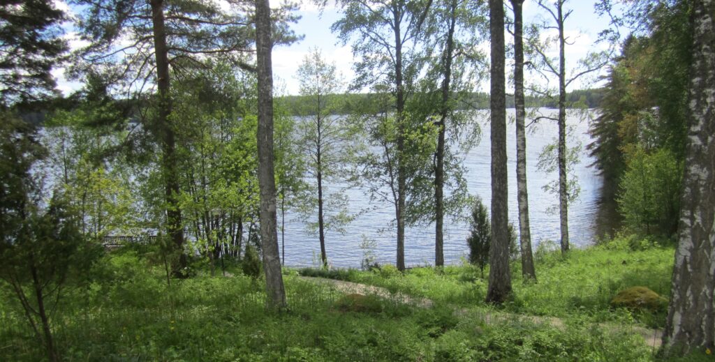 metsäinen järvimaisema