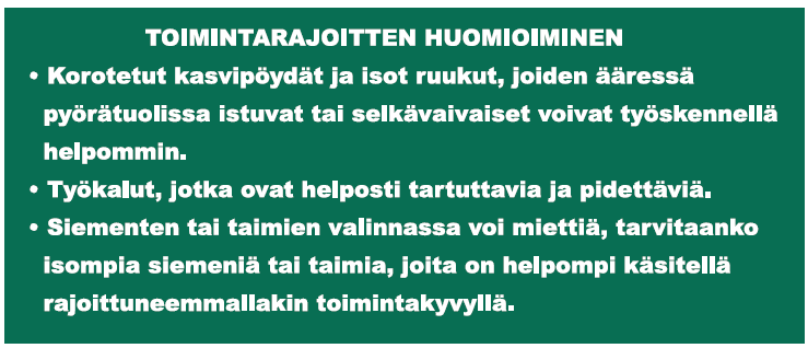 toimintarajoitteiden huomioiminen