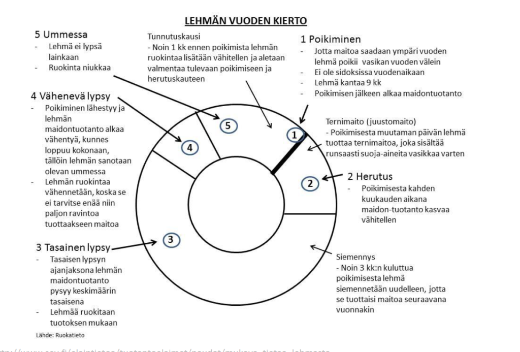 lehmän vuodenkierto