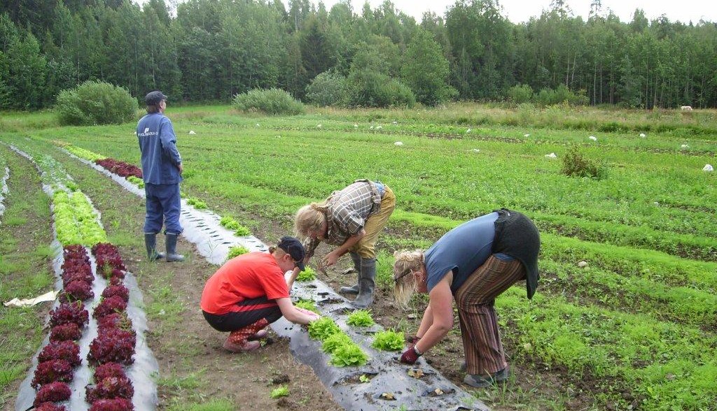 puutarhanhoitoa yhdessä