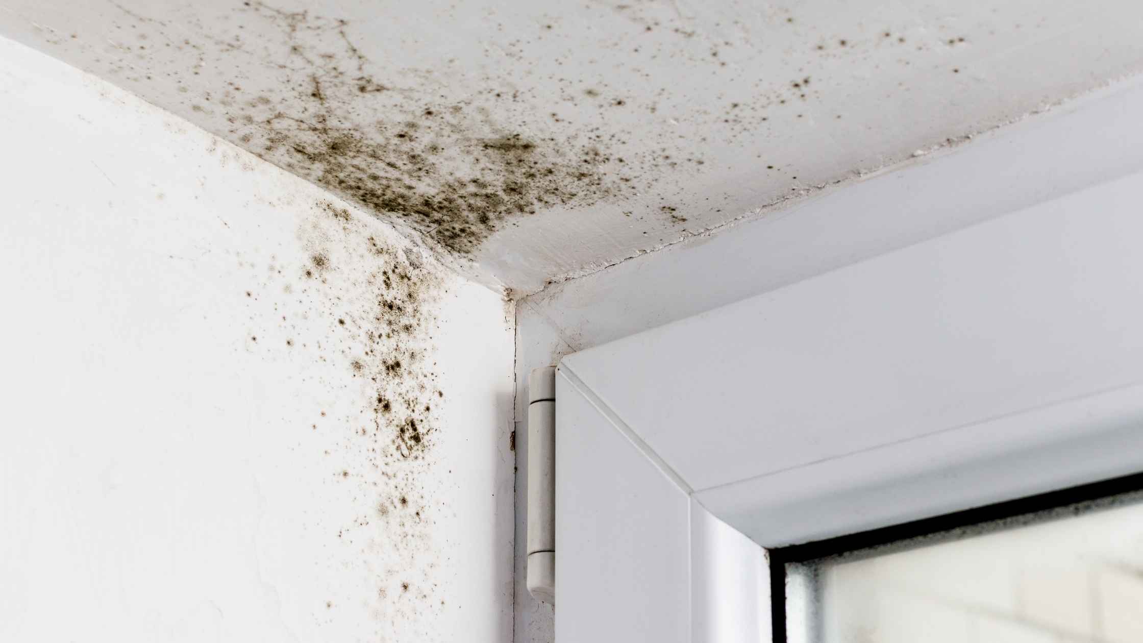 Moisissure au mur : 6 astuces pour s'en débarrasser