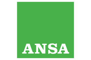 ansa_color