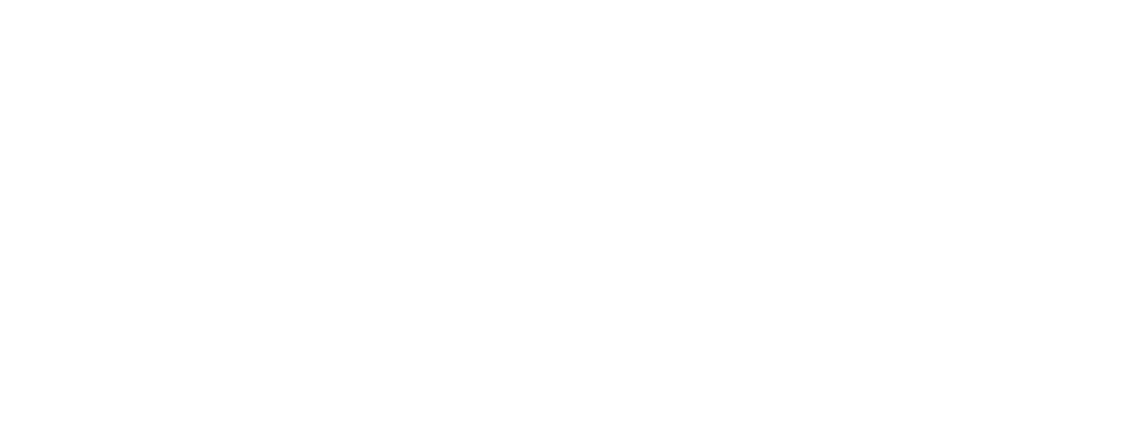 Logo INNOIS_BIANCO