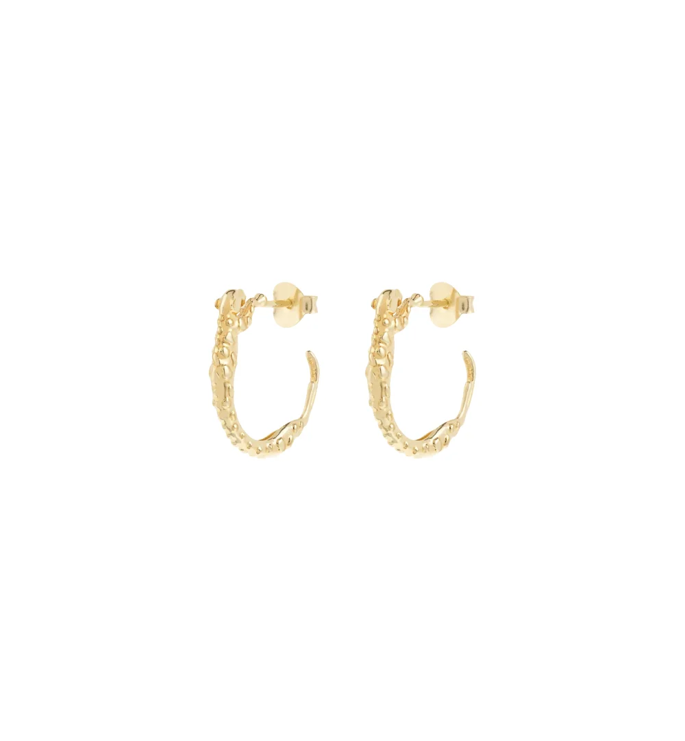 Small Wild Arc Hoop Earrings