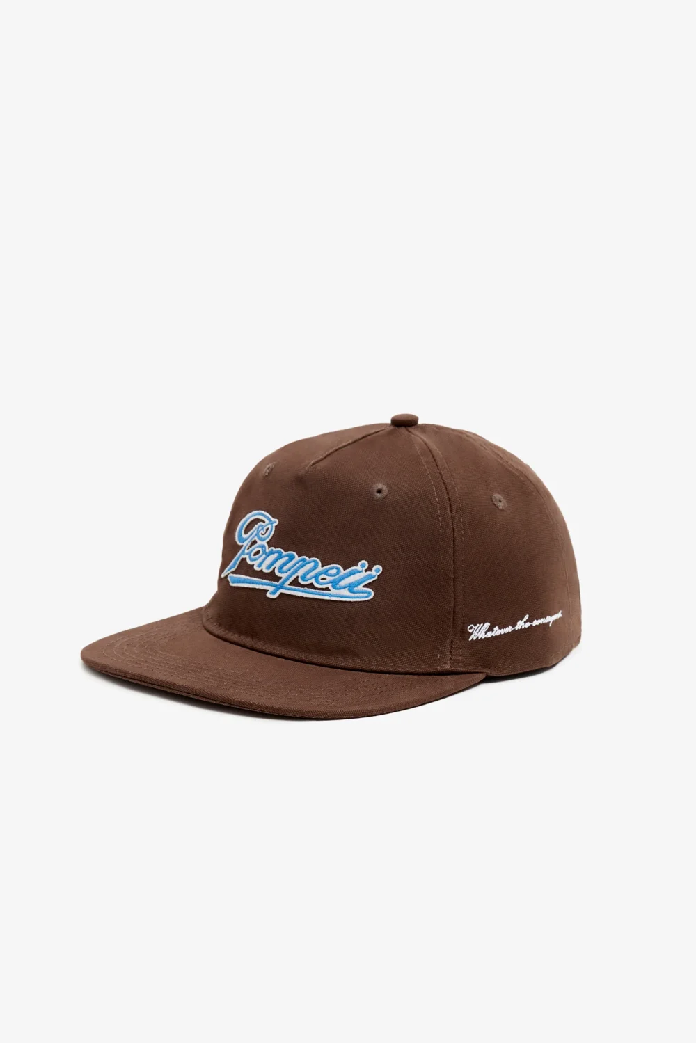 POMPEII CANVAS CHOCOLATE CAP - 3