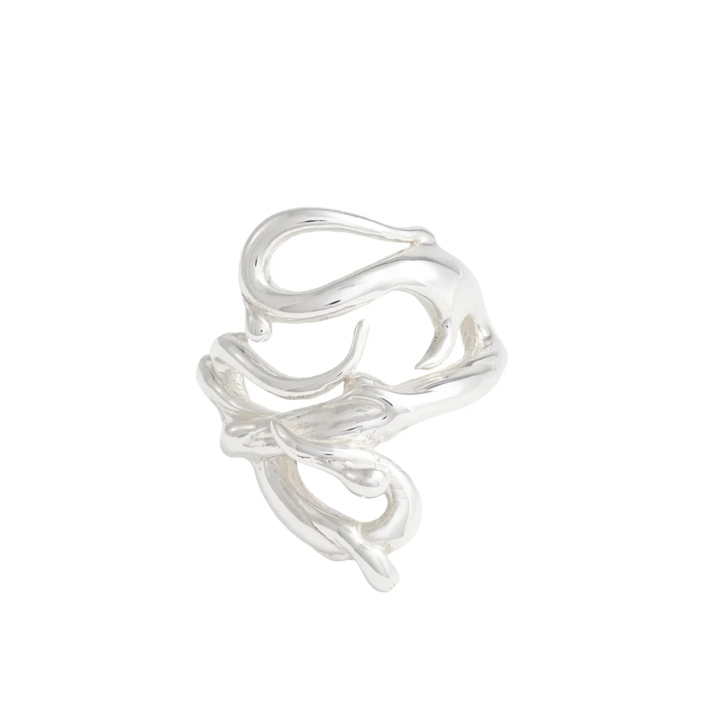Slip Ring
